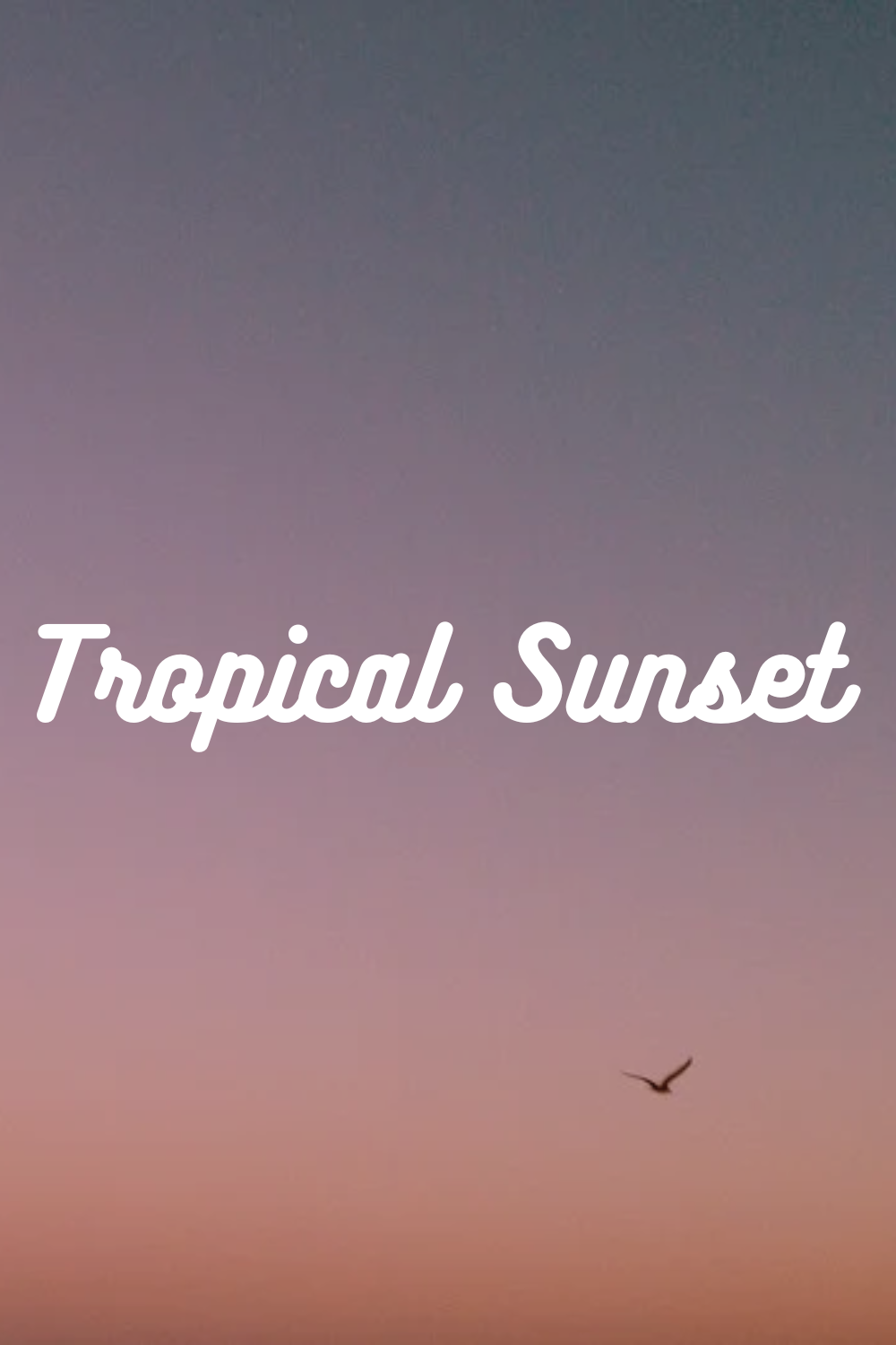Tropical Sunset Collection