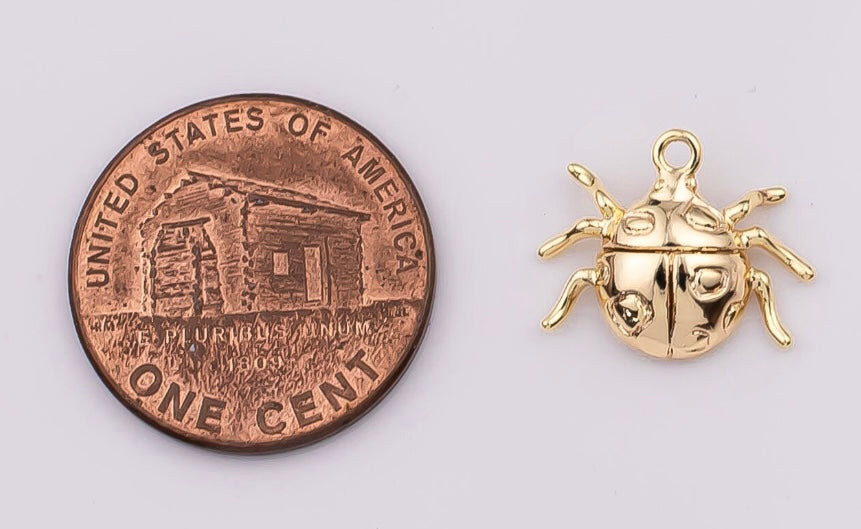 Ladybug Charm