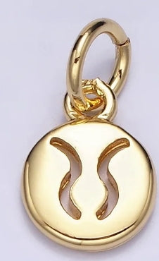 Zodiac Charm