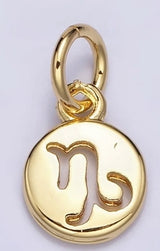 Zodiac Charm