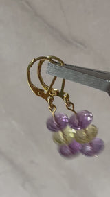 Ametrine Dangle Earrings